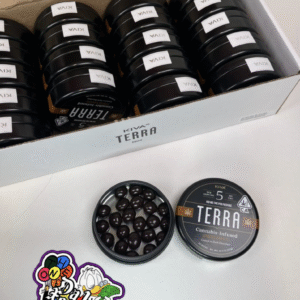 kiva terra bites